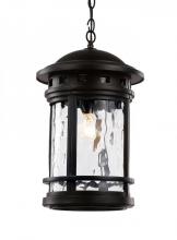 Trans Globe 40376 BK - 1LT HANGING LANTERN-LG-WATER-B
